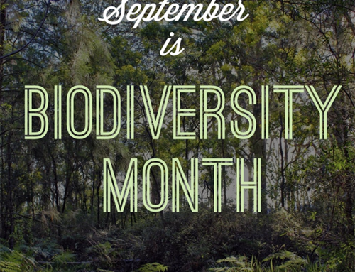 Biodiversity Month September 2023