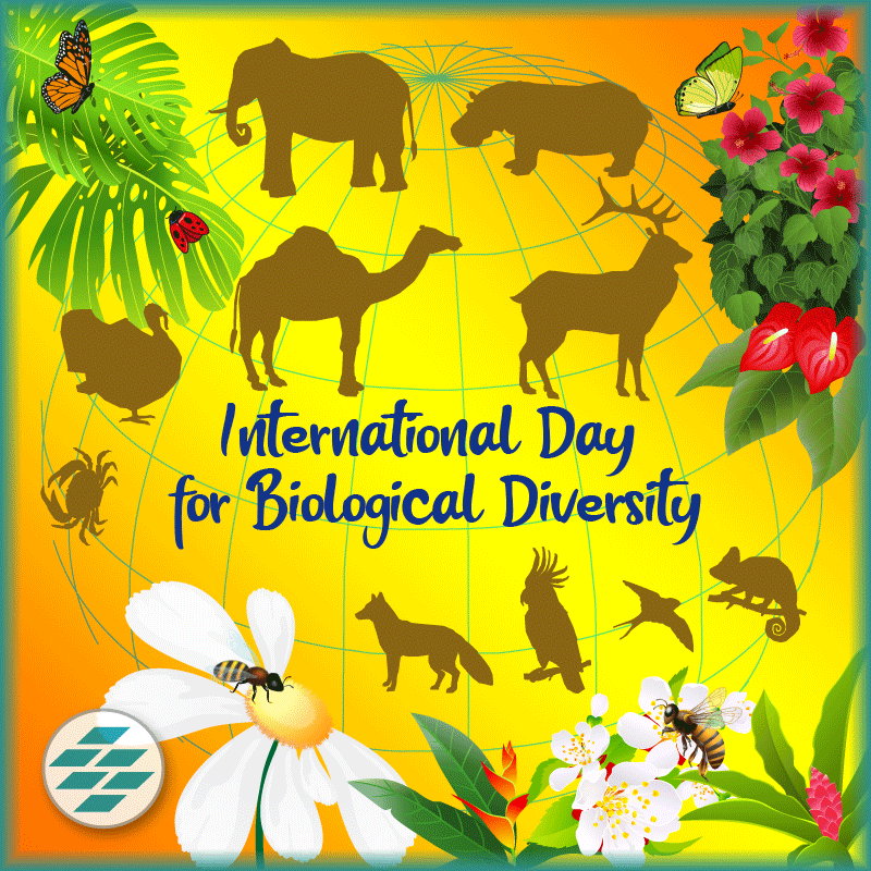 International day for biodiversity MDNC Mullumbimby Australia